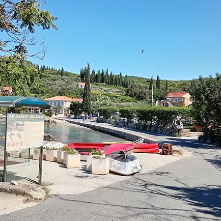 Twins 2 By Guide * Thurinici